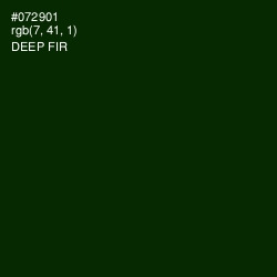 #072901 - Deep Fir Color Image